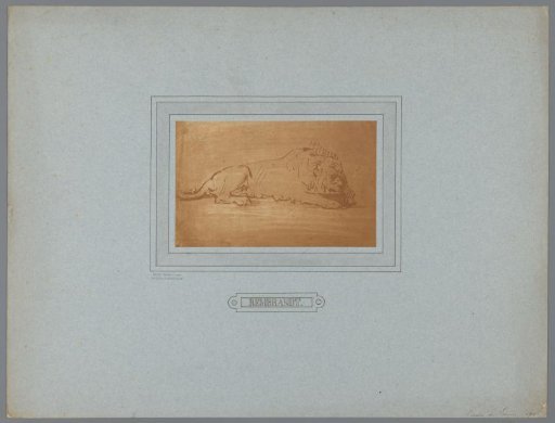 Photographic reproduction of a drawing by Rembrandt (lion)