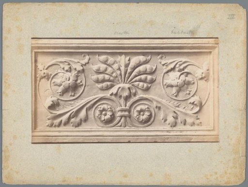 Relief with (possibly) a pea plant