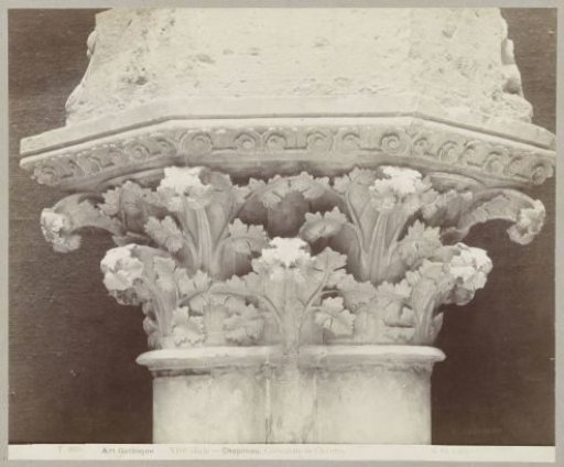 Capital with leaf motif, Chartres Cathedral