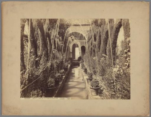 Water channel in the Generalife in Granada