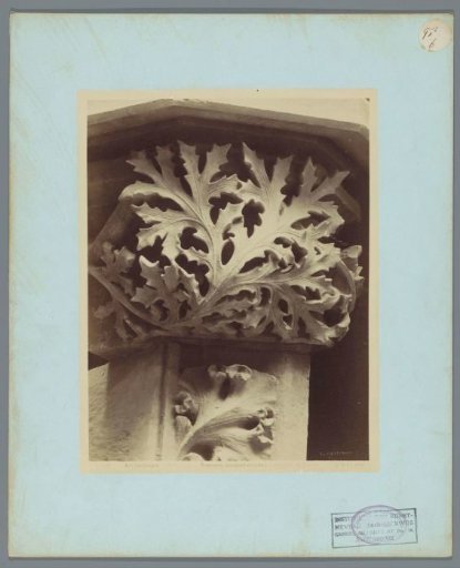Cast of a capital from the Cathedral of Troyes