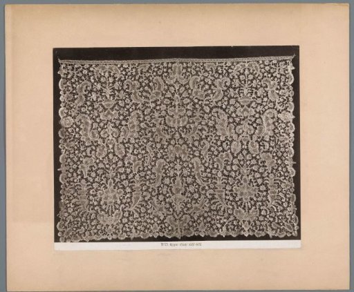 Panel of guipure lace