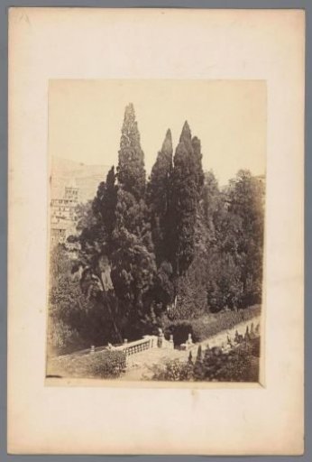 View of a garden in Italy