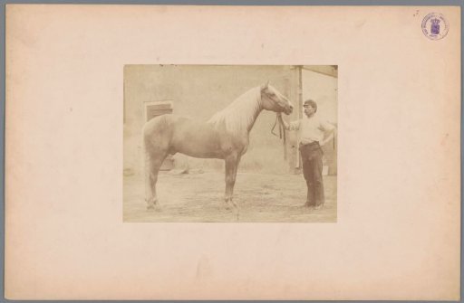Man with a horse in a courtyard