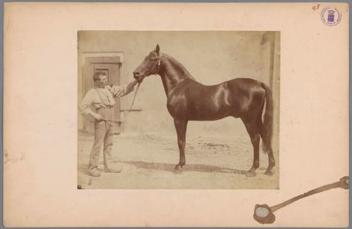 Man with a pipe and wooden clogs and a dark horse in a courtyard
