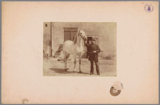 Man with a broad-brimmed hat and a white horse in a courtyard