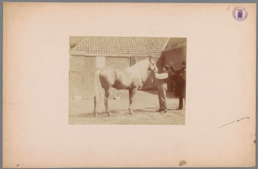 Two men with a horse in a courtyard
