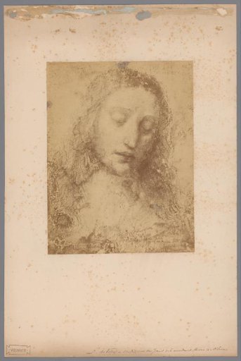 Photoreproduction of the drawing Head of Jesus (preparatory study for the fresco The Last Supper) by Leonardo da Vinci