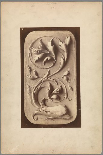 Relief with a dolphin whose tail flows into an acanthus leaf