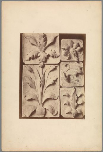 Five reliefs with plant motifs
