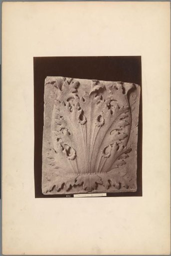 Relief with acanthus leaves