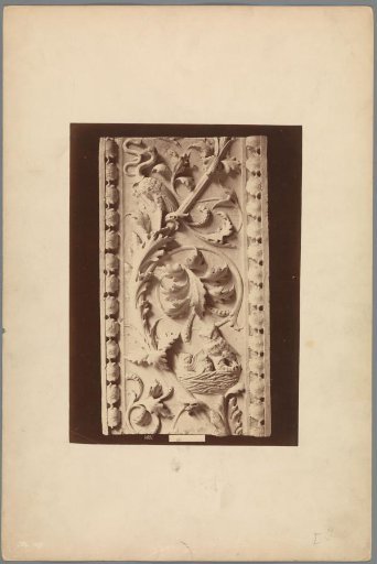 Relief with acanthus leaves and a nest with owls