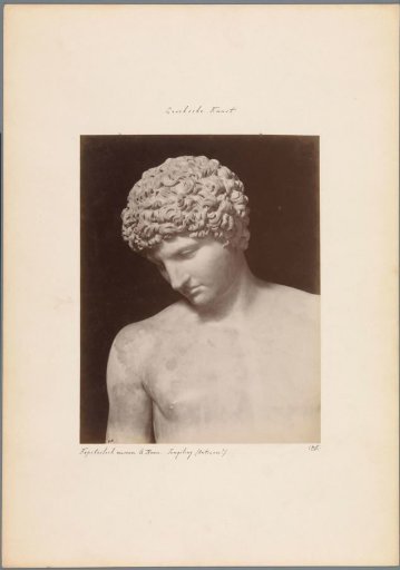 Part of the Capitoline Antinous in the Capitoline Museums in Rome