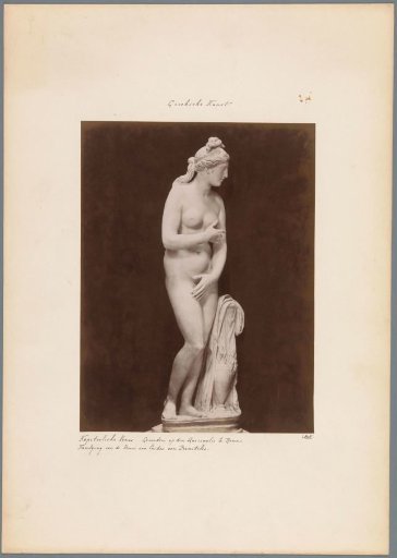 Capitoline Venus in the Capitoline Museums in Rome