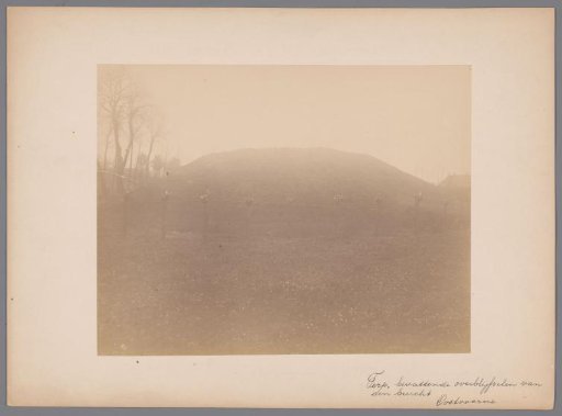 Terp with the remains of the castle of Oostvoorne