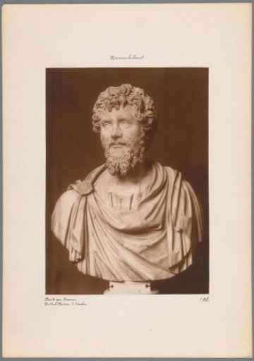 Bust of Septimius Severus