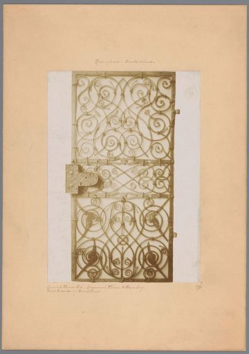 Iron gate decorated with organic forms and leaves