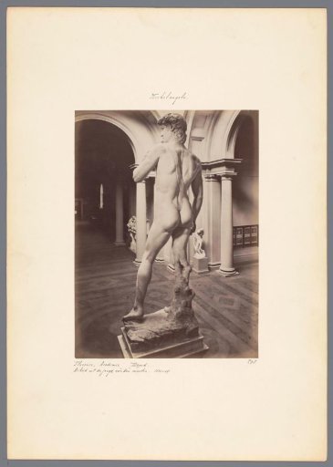 David by Michelangelo in the Galleria dell'Accademia in Florence