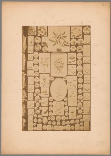 Part of an arrangement of plaster models by J.G. Bofinger