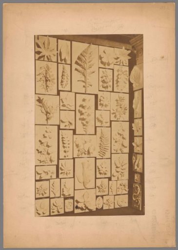 Part of an arrangement of plaster models by J.G. Bofinger