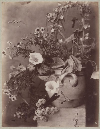 Flower Study with a Cologne Pot on a Chest