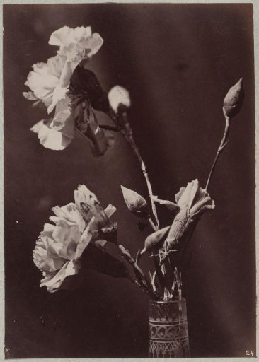 Flower Study with a Glass Vase