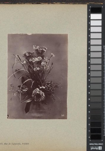 Flower Study with Leaves