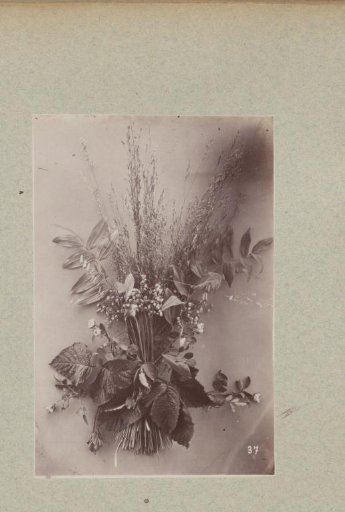 Flower Study with Ears of Grain