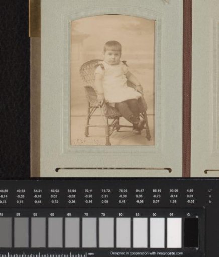 Portrait of a toddler on a chair