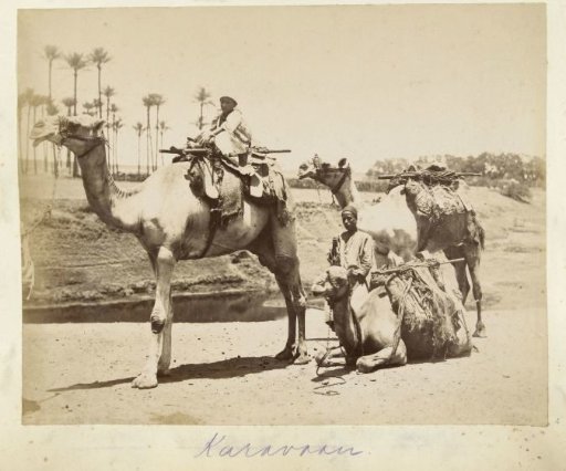 Caravan