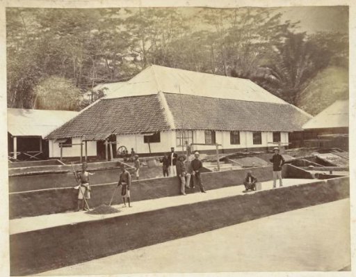 Workers and overseers for one of the buildings of the Karang Nangko coffee factory