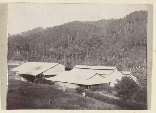 Buildings belonging to the Silo Sanen plantation, viewed from a higher section