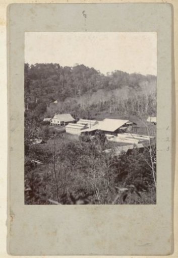 Buildings belonging to the Silo Sanen plantation, viewed from a higher section