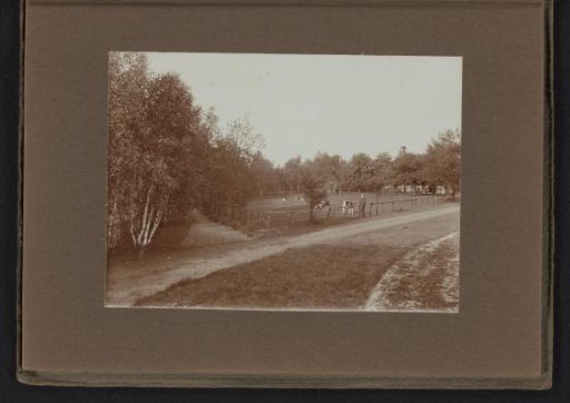 Man with Cows in the Pasture