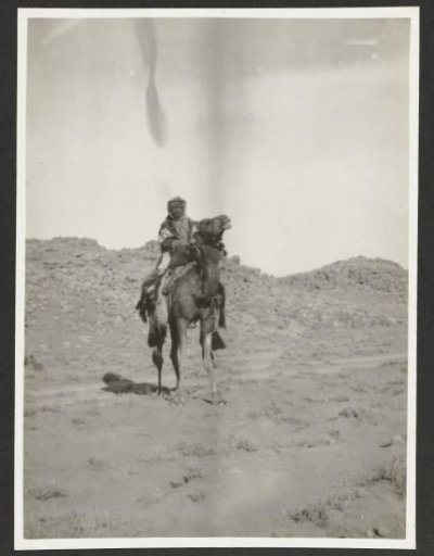 Mounted police rider in the Syrian desert
