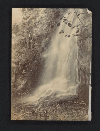 Man in the grass near a waterfall