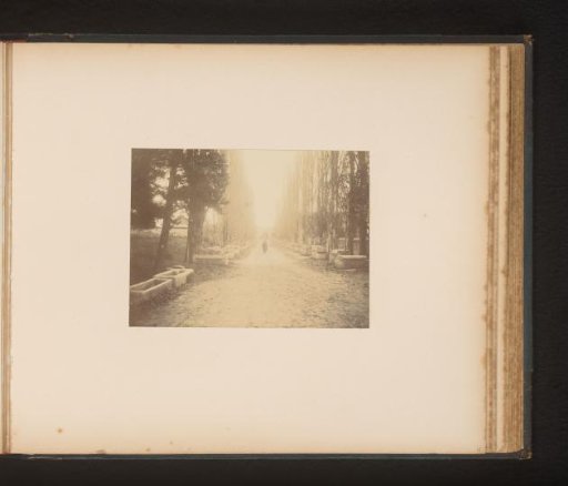 Alyscamps at Arles