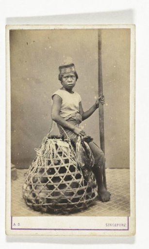 Portrait of an unknown boy with a basket of ducks and other poultry