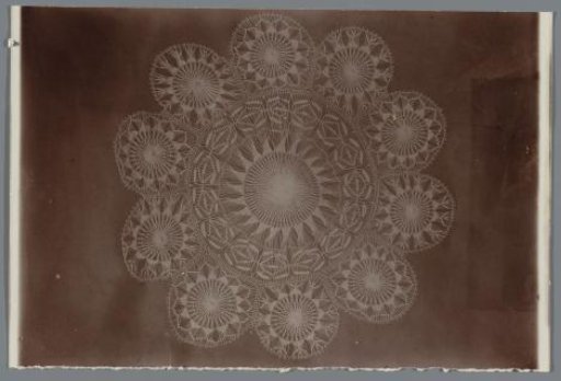 Lace Shawl