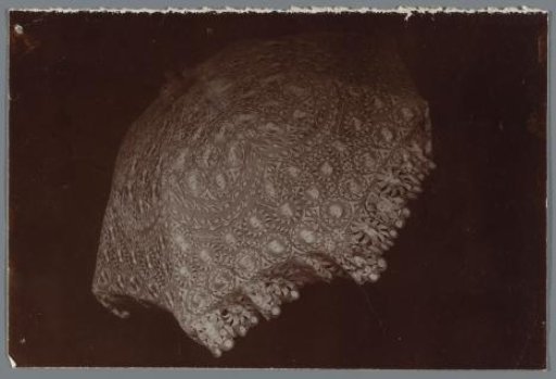 Lace Parasol