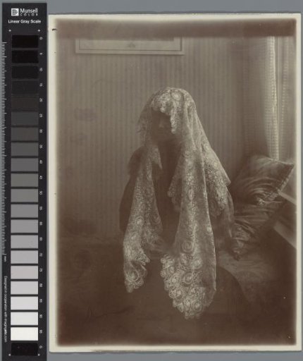 Portrait of an Unknown Woman with a Lace Veil