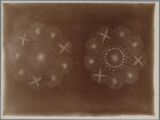 Two Lace Shawls