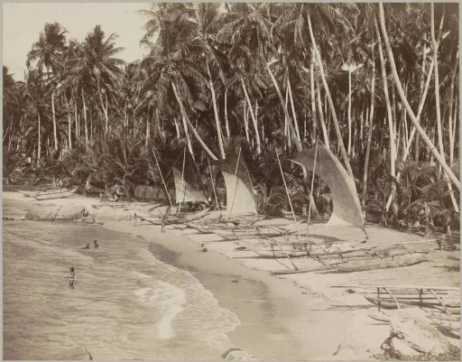 Beach with palm trees and boats, Galle, Sri Lanka