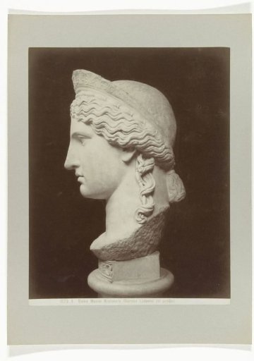 Bust of Juno Ludovisi in Profile