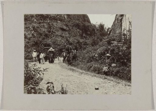 Buffalo track on Sumatra