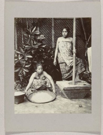 Studio portrait of two girls sifting and pounding rice in the Dutch East Indies
