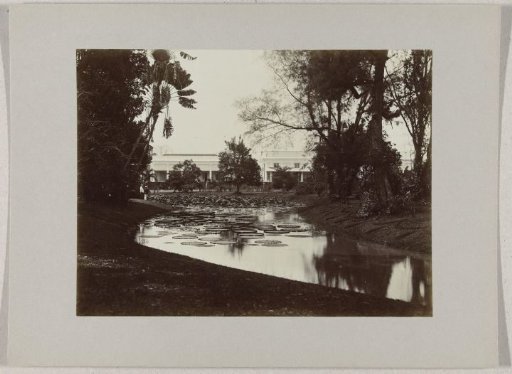 The Victoria Regia pond with the Governor's palace in the botanical garden in Buitenzorg