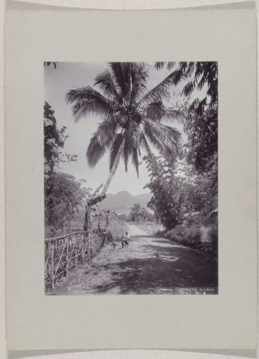 Three children on a road near Garoet, Dutch East Indies