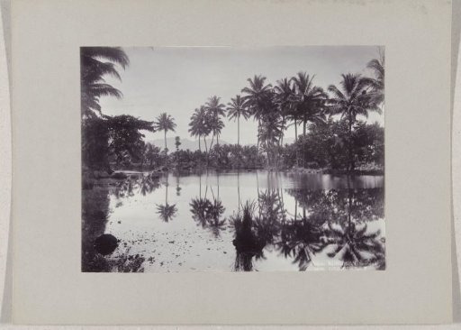 Fish ponds at Tjipanas near Garoet, Dutch East Indies