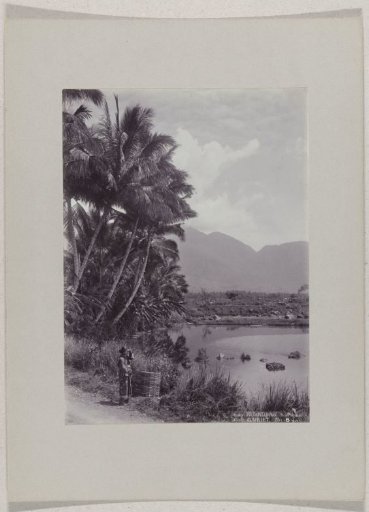 Woman by a pond near Garoet, Dutch East Indies